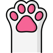 Viral Cat